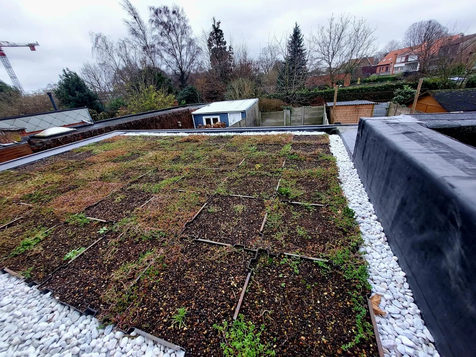 Groendak met sedum beplanting